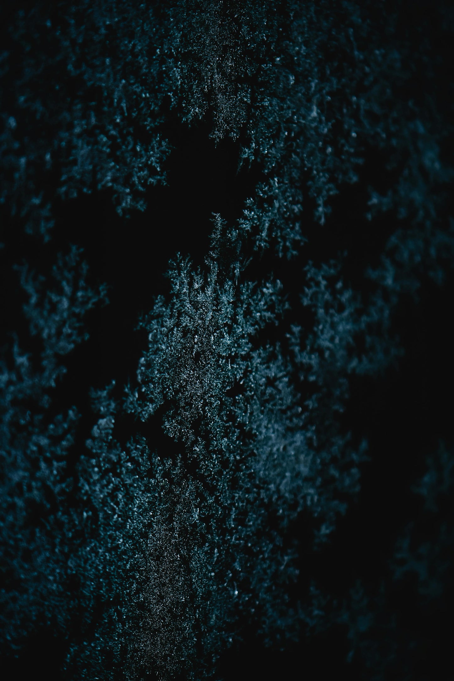 Fire & Frost Full Collection