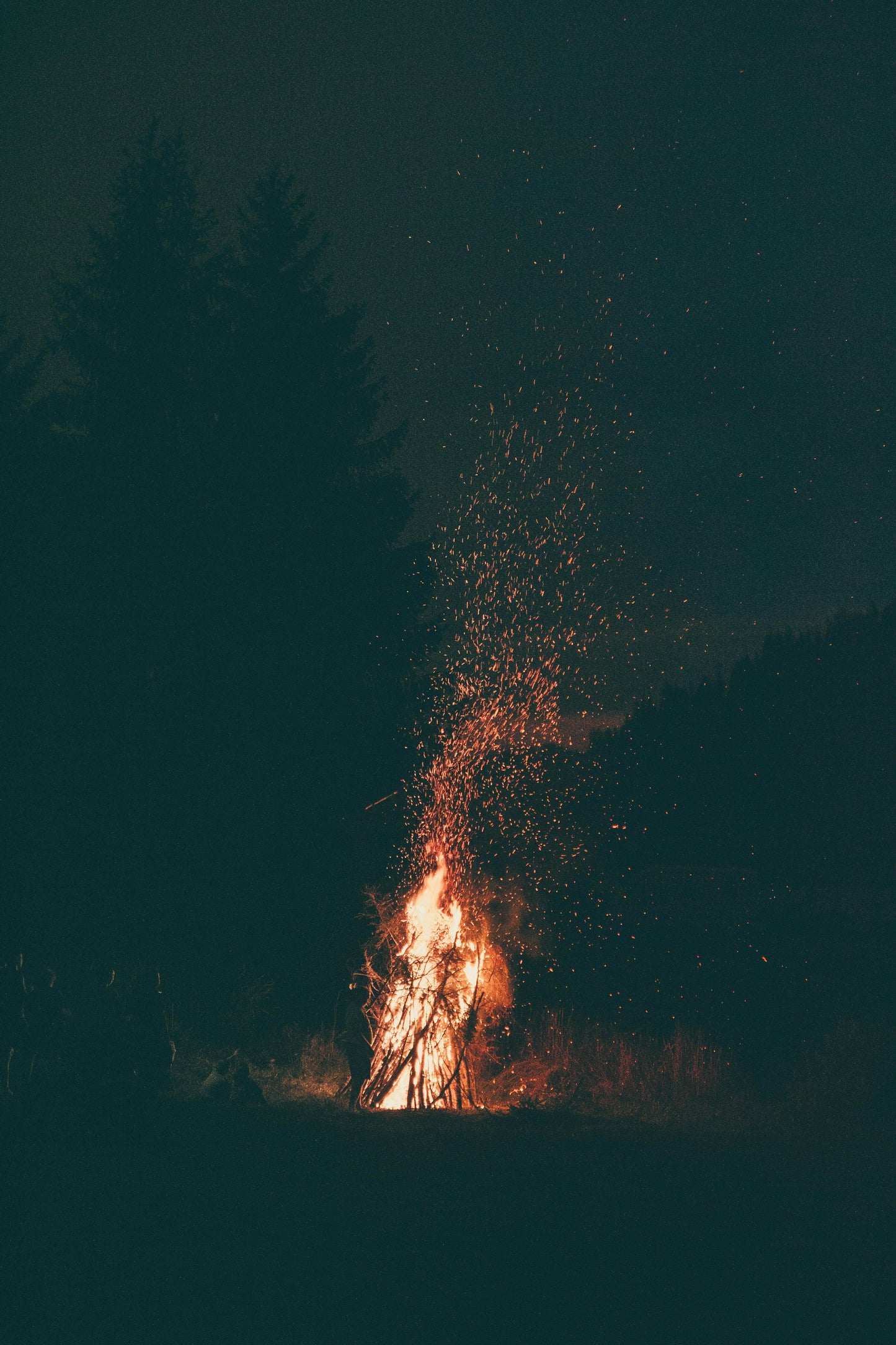 Hidden Hollow